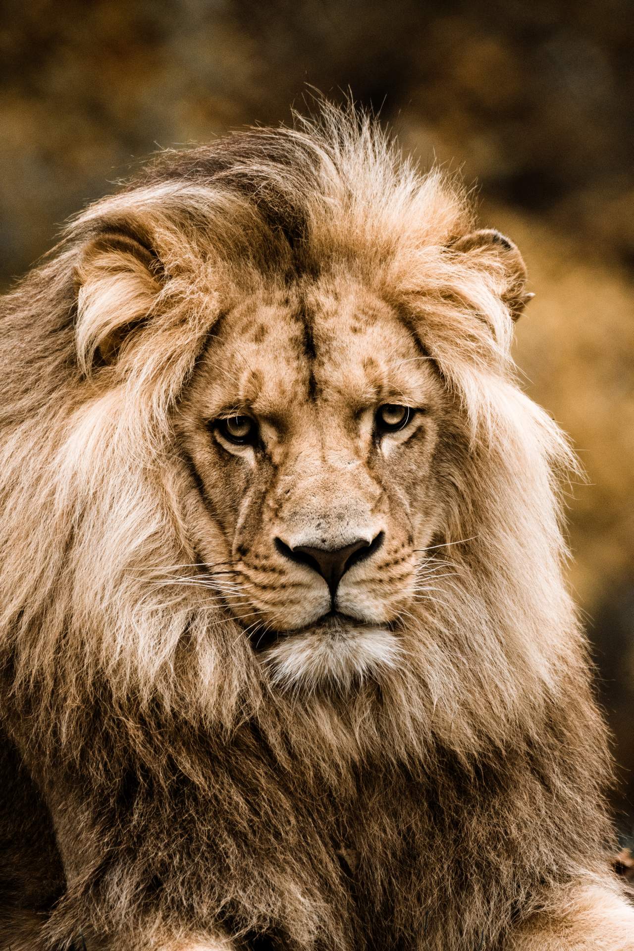 Zoo Brno